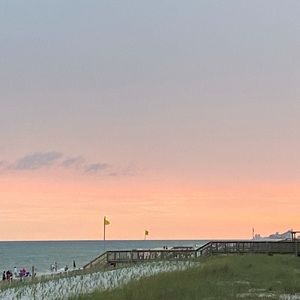 Meet your Posher, Allie